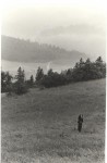 Fot.Bernard Landon